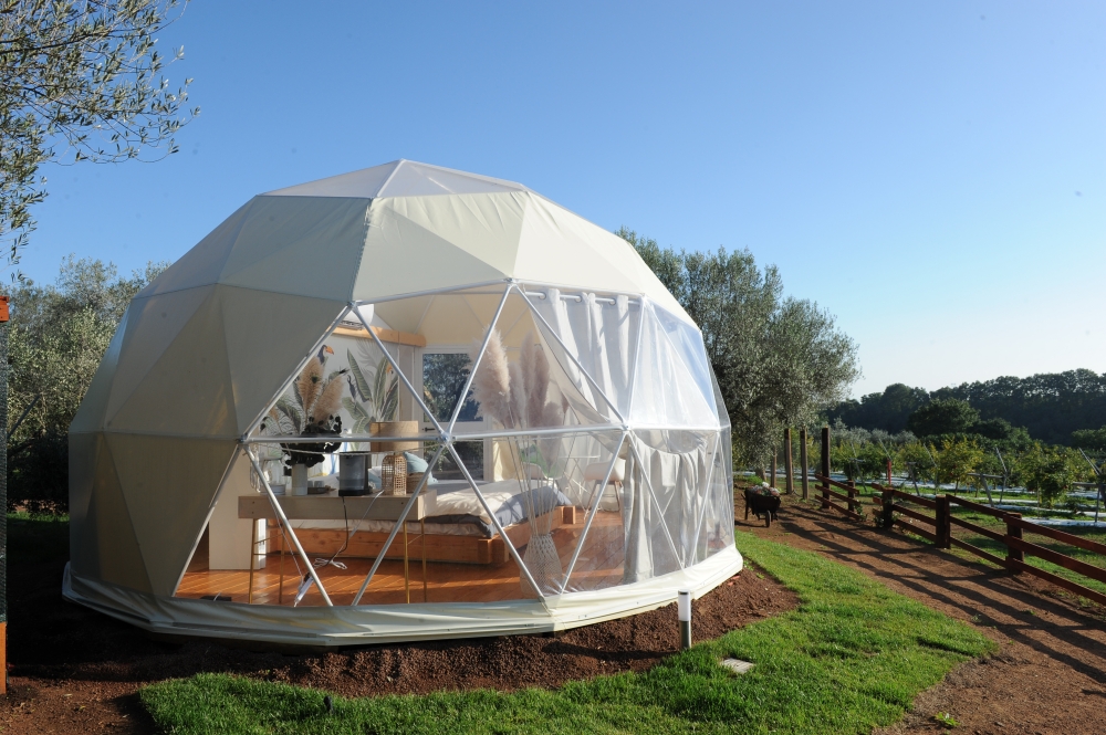 Bubble Room